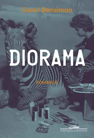 Baixar Livro Diorama - Carol Bensimon em ePub PDF Mobi ou Ler Online