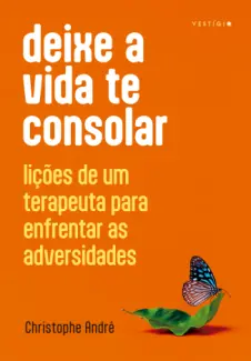 Baixar Livro Deixe a vida te Consolar - Christophe André em ePub PDF Mobi ou Ler Online