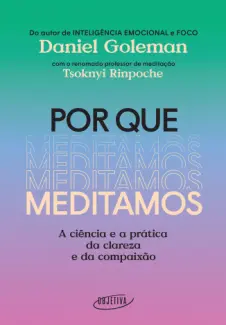 Baixar Livro Por que Meditamos - Daniel Goleman em ePub PDF Mobi ou Ler Online