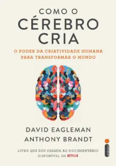 Baixar Livro Como o Cérebro Cria - David Eagleman em ePub PDF Mobi ou Ler Online