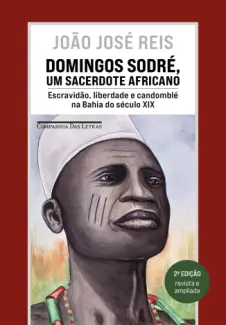 Baixar Livro Um Sacerdote Africano - Domingos Sodré em ePub PDF Mobi ou Ler Online