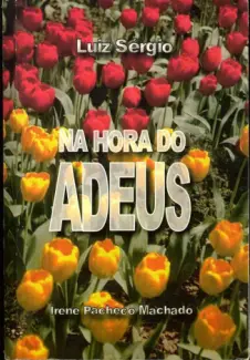 Baixar Livro Na Hora Do Adeus - Eny Feliz em ePub PDF Mobi ou Ler Online