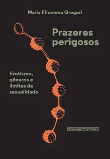 Baixar Livro Prazeres Perigosos - Maria Filomena Gregori em ePub PDF Mobi ou Ler Online