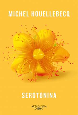 Baixar Livro Serotonina - Michel Houellebecq em ePub PDF Mobi ou Ler Online