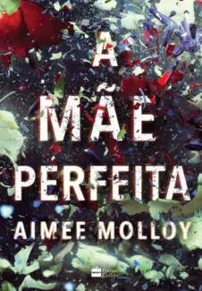 Baixar Livro A mãe Perfeita -  Molloy Aimee em ePub PDF Mobi ou Ler Online