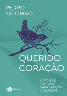 Baixar Livro Querido Coração: Cartas de um Poeta para Emoções Doloridas - Pedro Salomão em ePub PDF Mobi ou Ler Online