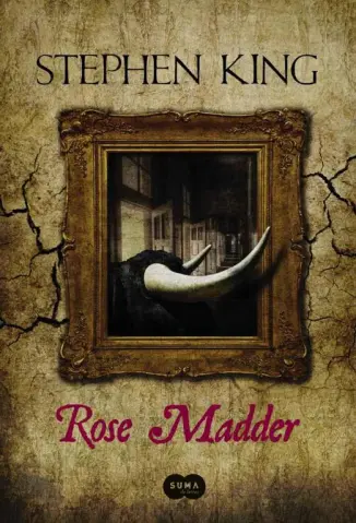 Baixar Livro Rose Madder - Stephen King em ePub PDF Mobi ou Ler Online