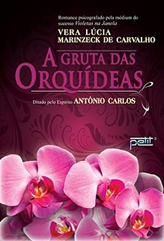 Baixar Livro A Gruta das Orquídeas - Vera Lúcia Marinzeck de Carvalho em ePub PDF Mobi ou Ler Online
