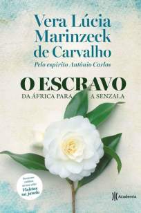 Baixar Livro O Escravo. da África para a Senzala - Vera Lúcia Marinzeck de Carvalho em ePub PDF Mobi ou Ler Online