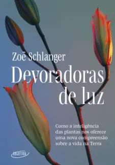 Baixar Livro Devoradoras de Luz - Zoë Schlanger em ePub PDF Mobi ou Ler Online